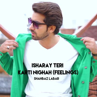 Isharay Teri Karti Nighah (Feelings)'s cover