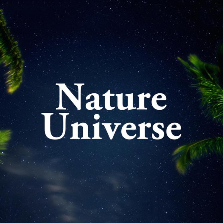 Sounds Of The Universe's avatar image