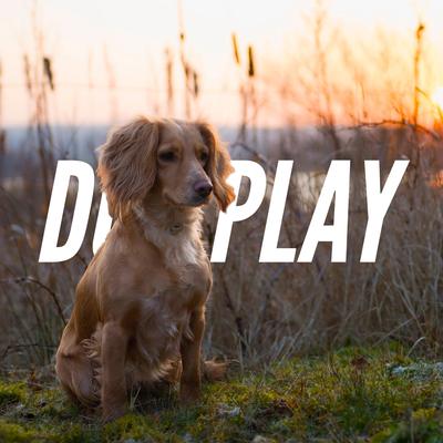 Dog Play's cover