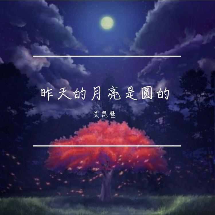 艾琵琶's avatar image