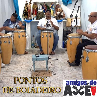 Boa Noite Meus Senhores (Ao Vivo) By Amigos do Axé's cover