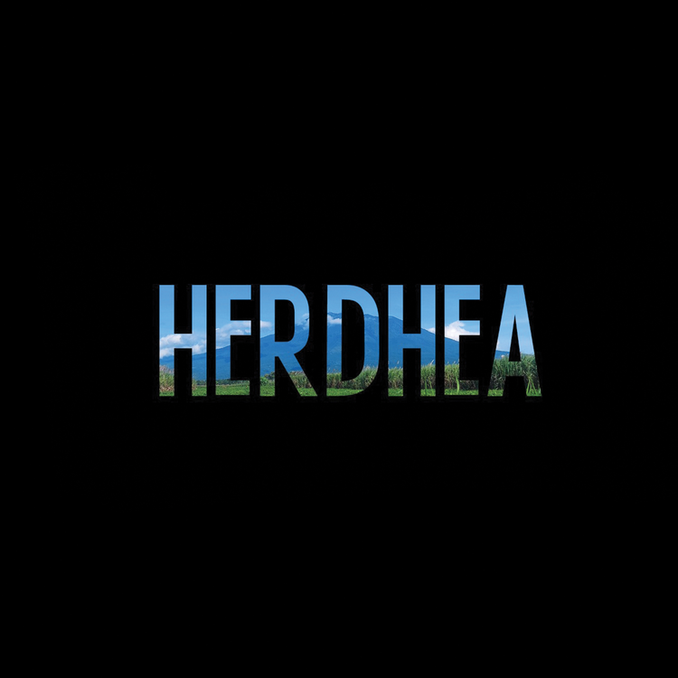 Herdhea's avatar image