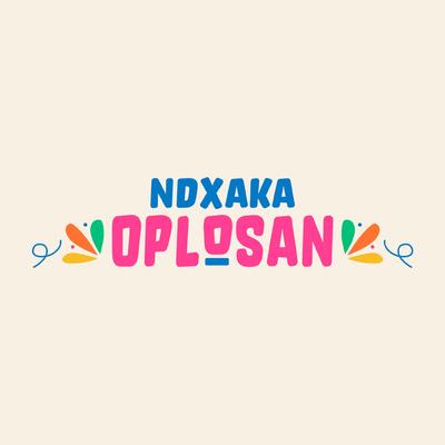 Ciu Oplosan By NDX A.K.A.'s cover