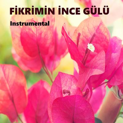 Fikrimin İnce Gülü (Instrumental) By Fon İstanbul's cover