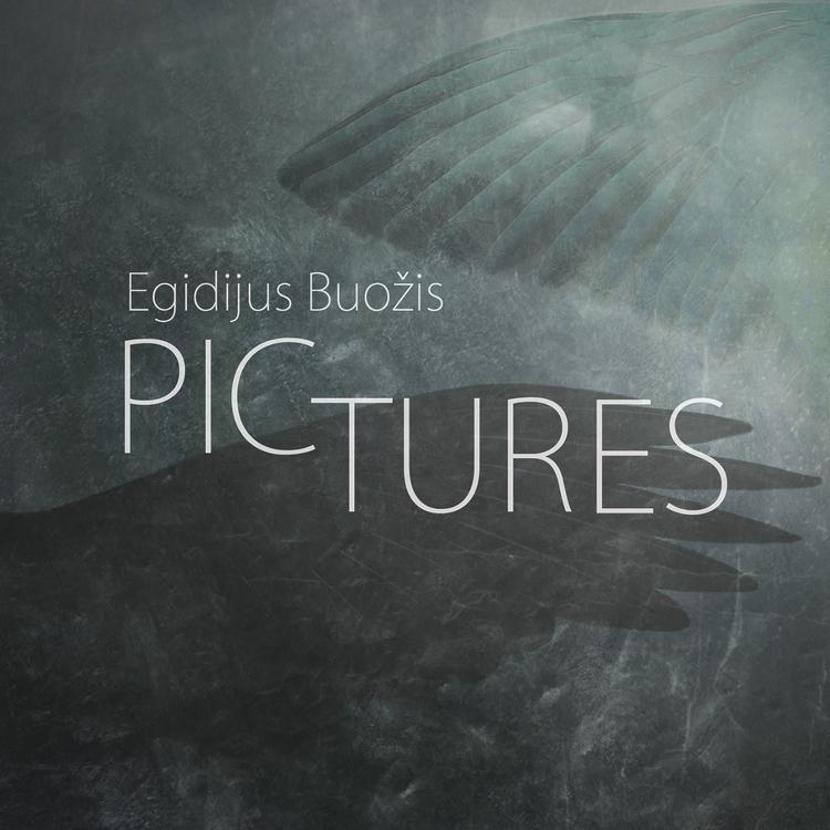 Egidijus Buožis's avatar image
