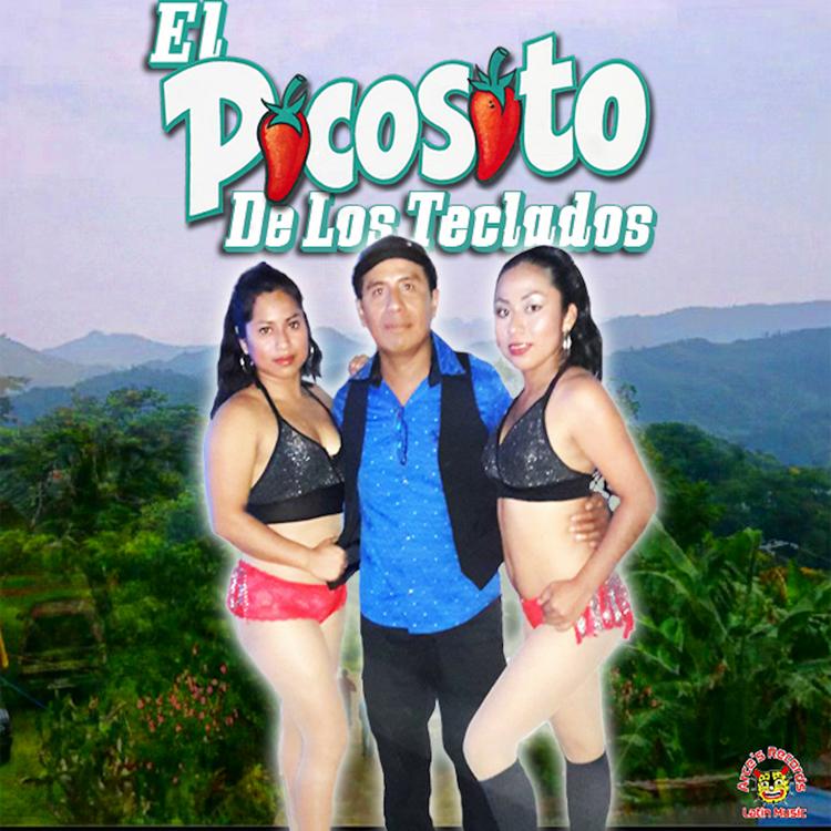 El Picosito De Los Teclados's avatar image