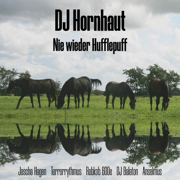 DJ Hornhaut's avatar image