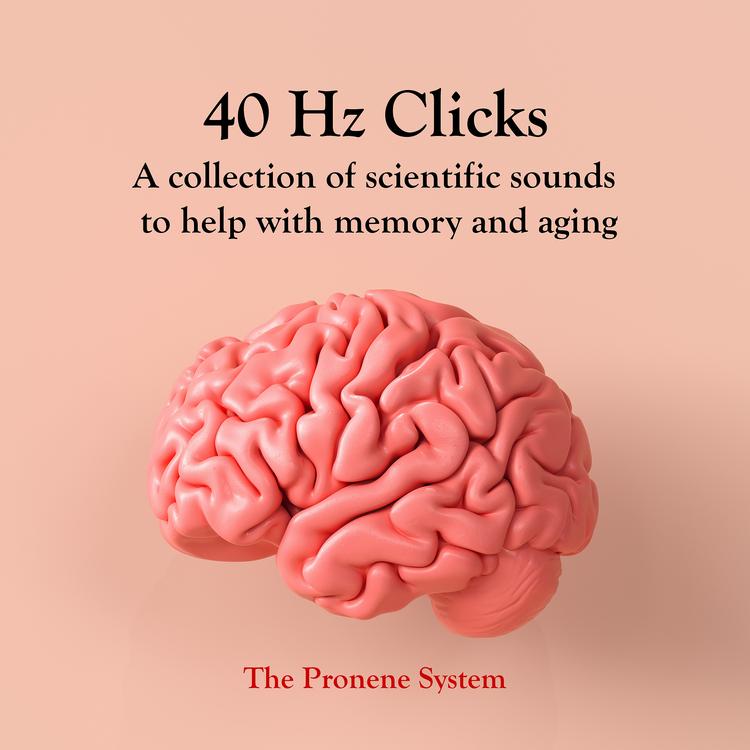 Pronene Memory Plan's avatar image