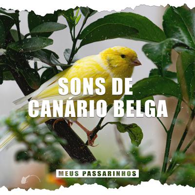 Canário Belga 10 By Meus Passarinhos's cover