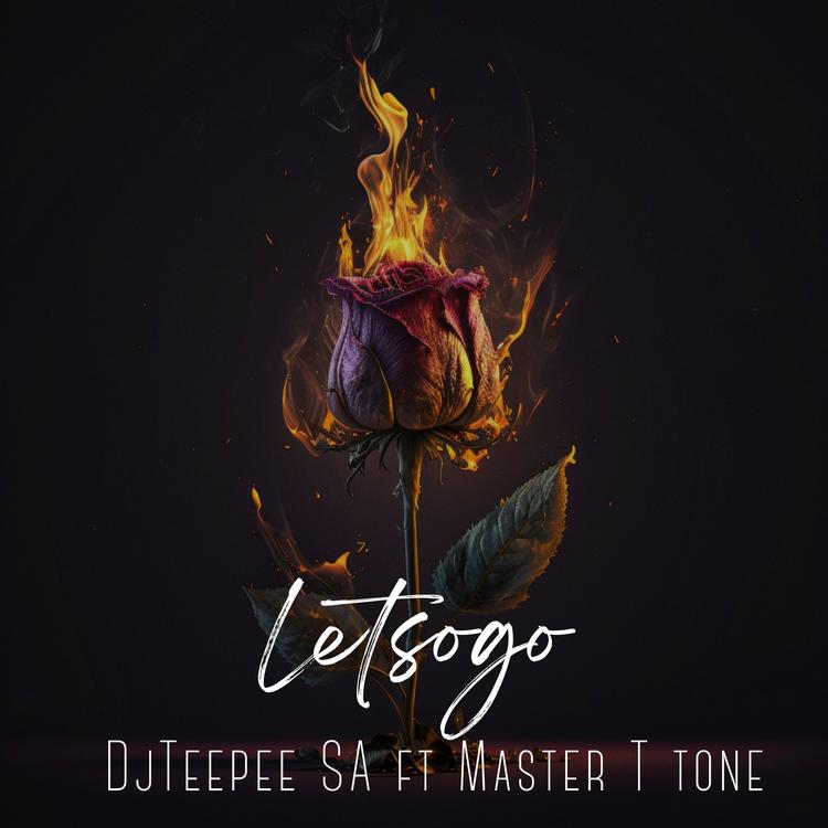 Dj Teepee SA's avatar image