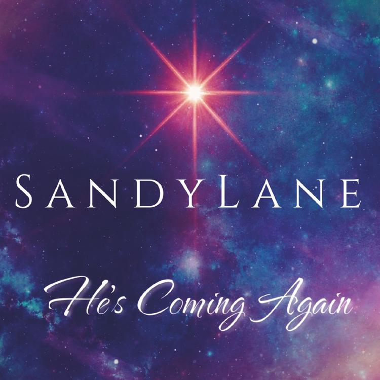 Sandra Lane's avatar image