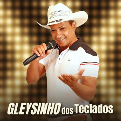 Seu Amor Que Eu Preciso By Gleysinho e Seus Teclados's cover