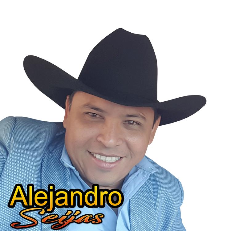 alejandro seijas's avatar image