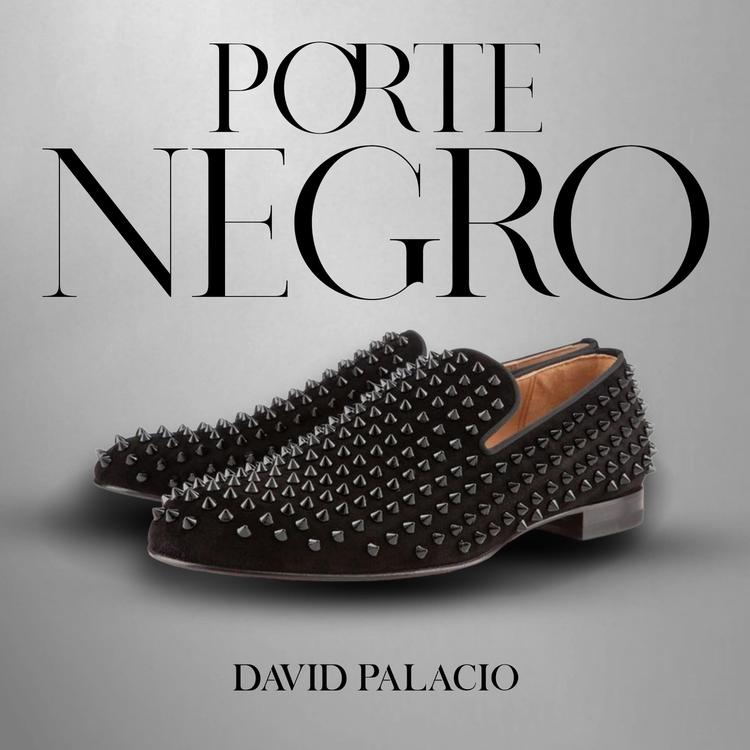 David Palacio's avatar image