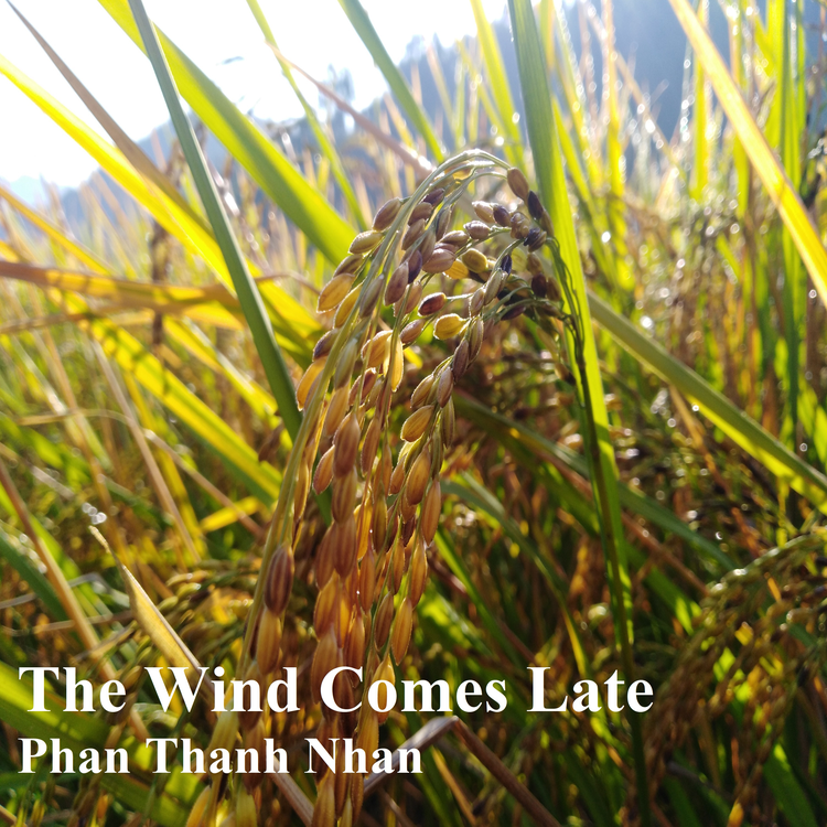 Phan Thanh Nhan's avatar image