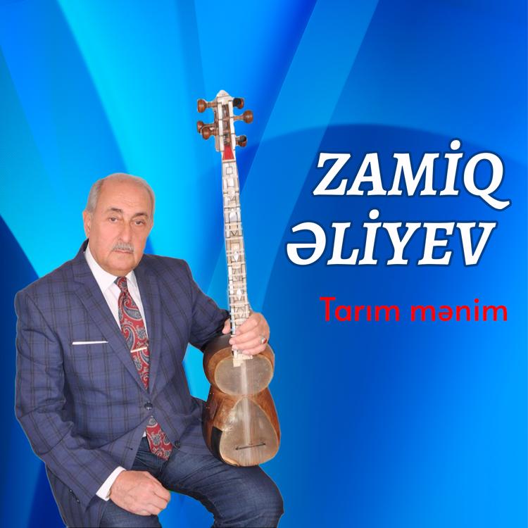 Zamiq Əliyev's avatar image