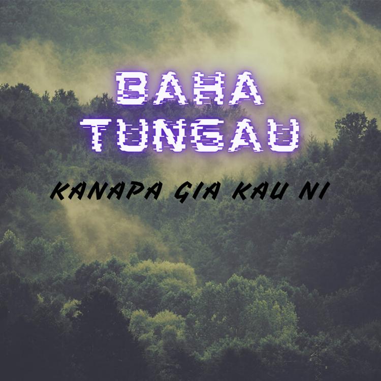 Baha Tungau's avatar image
