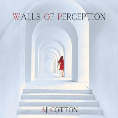 Walls Of Perception's cover