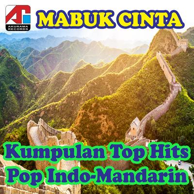 Mabuk Cinta - Kumpulan Top Hits Pop Indo-Mandarin's cover