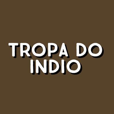 TROPA DO INDIO TIK TOK By DJ Elyce's cover