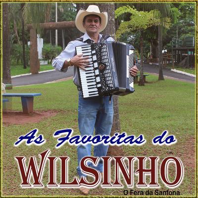 Wilsinho - O Fera da Sanfona's cover