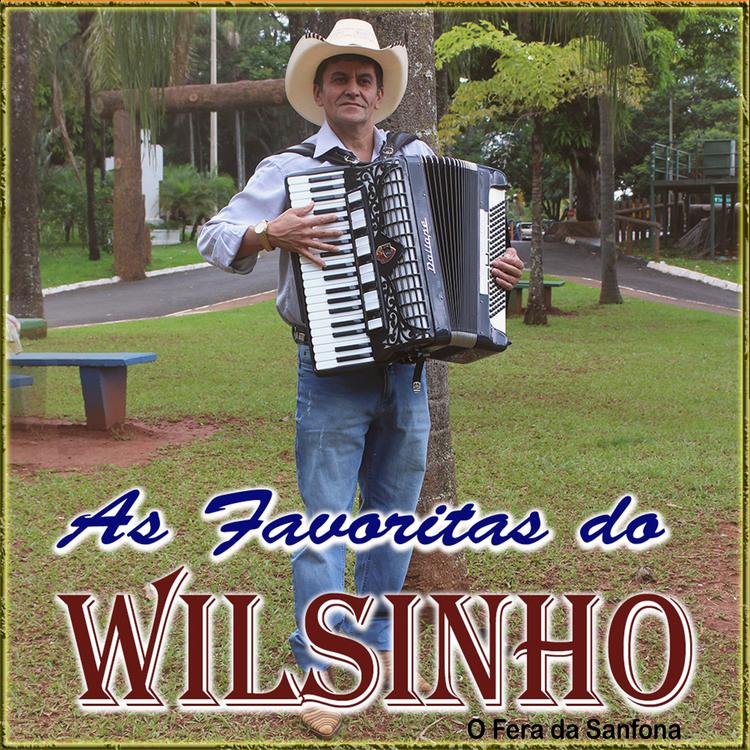 Wilsinho O Fera da Sanfona's avatar image