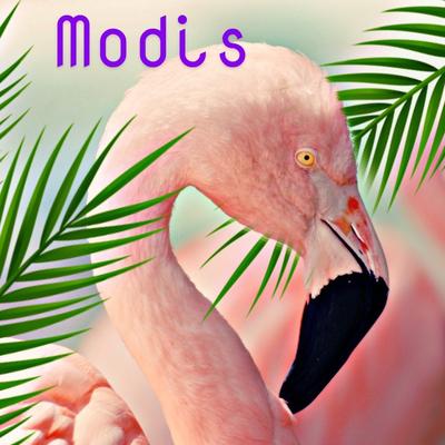 Modis's cover