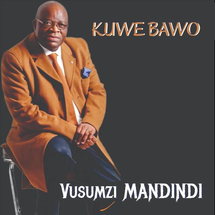 Vusumzi Mandindi's avatar image