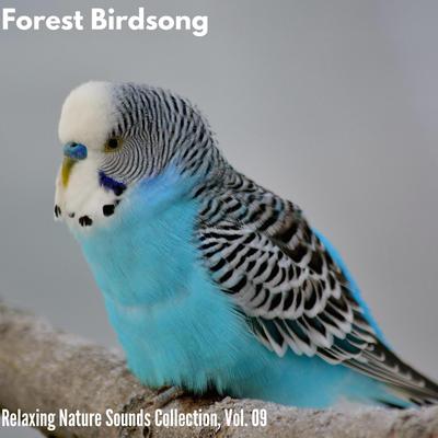 Forest Birdsong - Relaxing Nature Sounds Collection, Vol. 09's cover