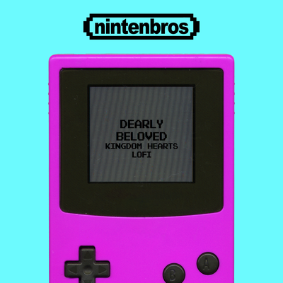 Nintenbros's cover