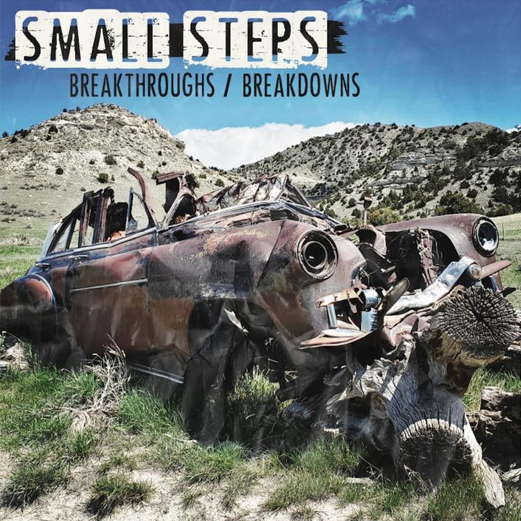 Small Steps's avatar image