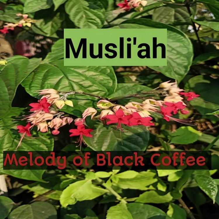 Musli'ah's avatar image