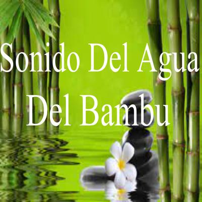 Música Curativa Con Sonido Del Agua De Bambú's cover