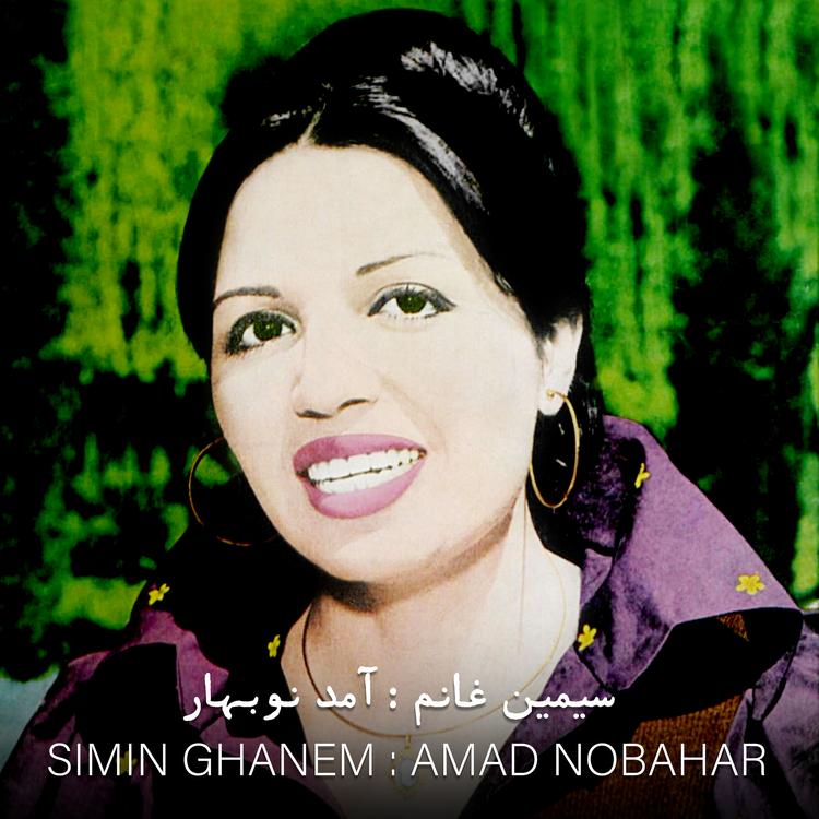 Simin Ghanem's avatar image