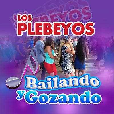 Bailando Y Gozando's cover