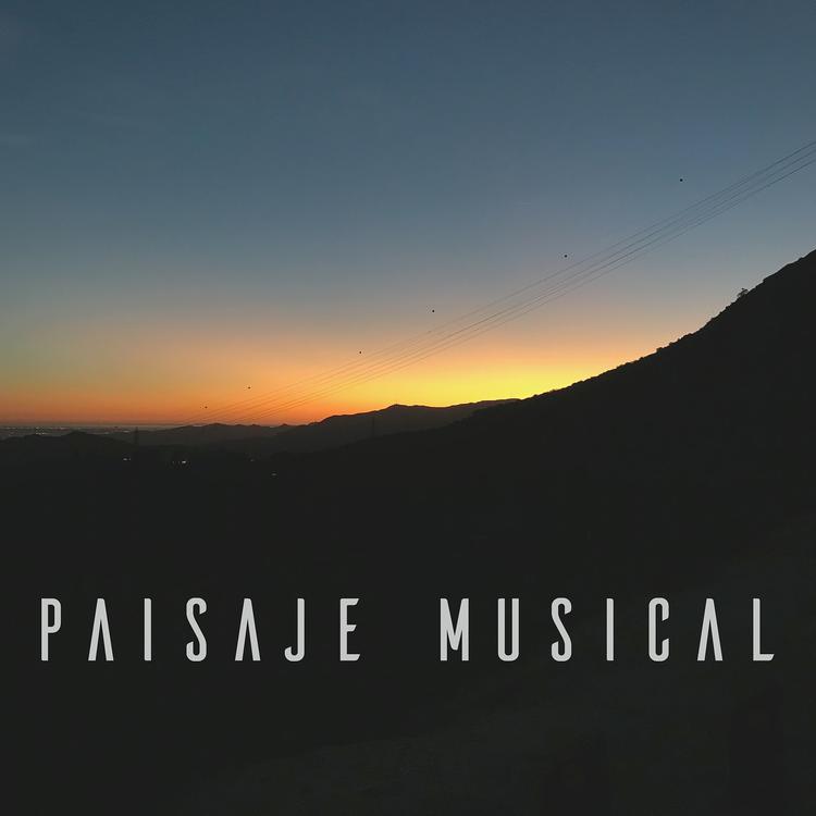 Paisaje Musical's avatar image