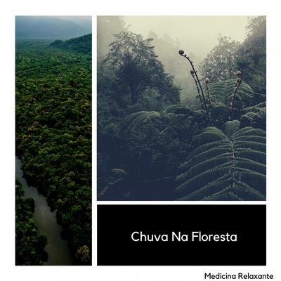 Chuva Na Floresta's cover