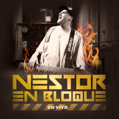 Muchacha Enamorada / Vienes y Te Vas (En Vivo) By Nestor En Bloque's cover
