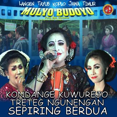 TAYUB MULYO BUDOYO, Vol. 3's cover