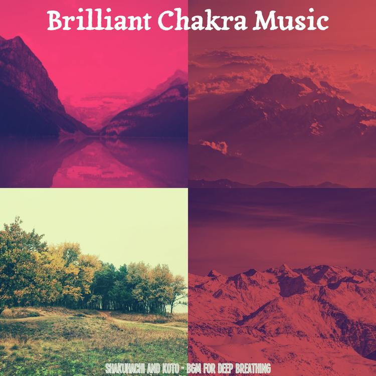 Brilliant Chakra Music's avatar image