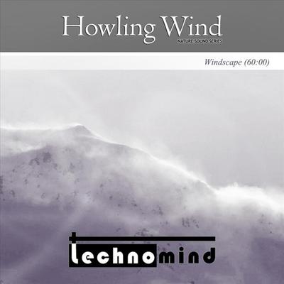 Windscape By Technomind's cover