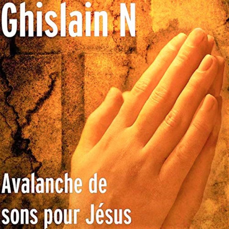 Ghislain N's avatar image