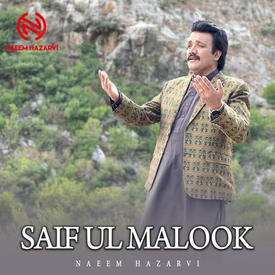 Saif Ul Malook's cover