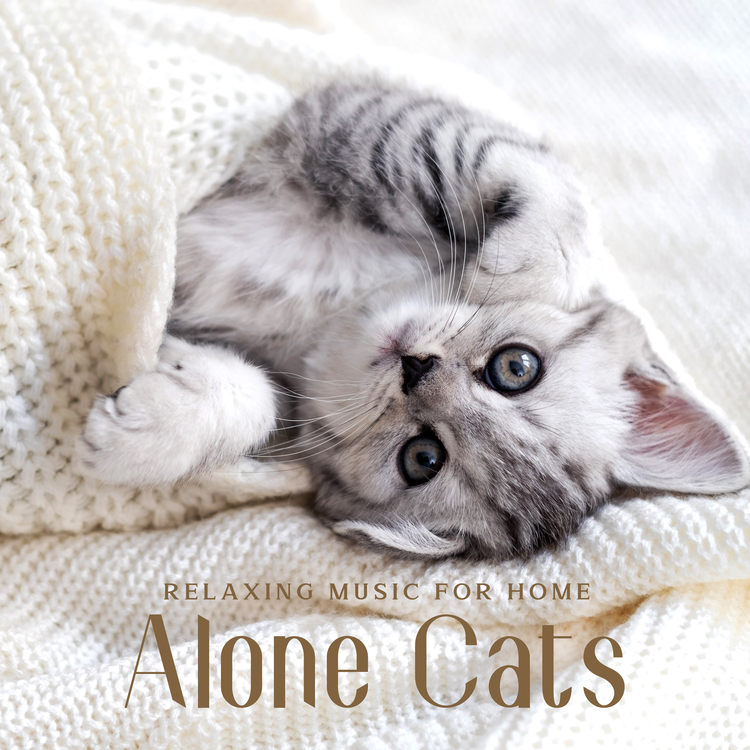 Cats Music Zone's avatar image