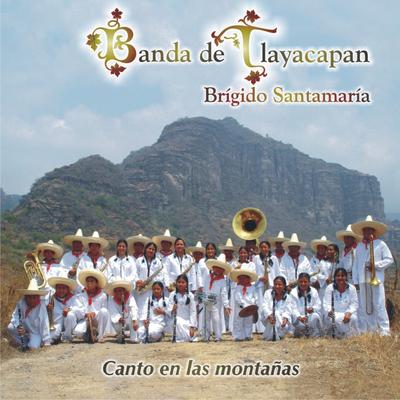 Bésame mucho By Banda de Tlayacapan's cover