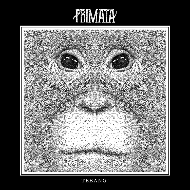 Primata's avatar image