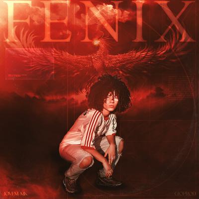 Fênix's cover