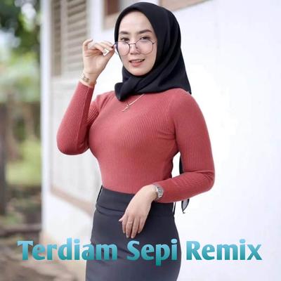 DJ Terdiam Sepi (Remix)'s cover