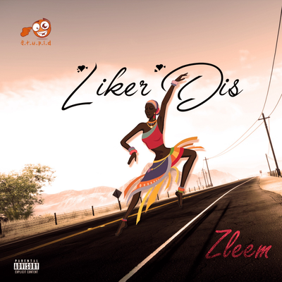 Zleem's cover