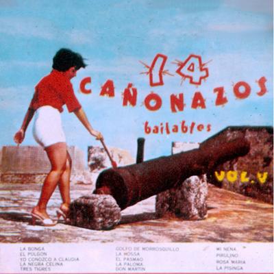 14 Cañonazos Bailables (Vol. 5)'s cover